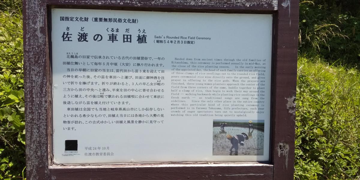 車田植は佐渡と飛騨高山のみに残る田植えだそうです。